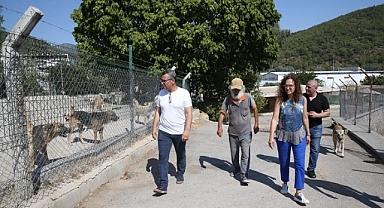 Karşıyaka Belediyesi yeni hayvan barınağı için düğmeye bastı