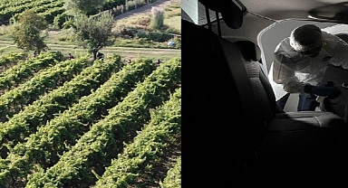 Manisa'da üzüm bağında silahla vurulan çiftçi öldü