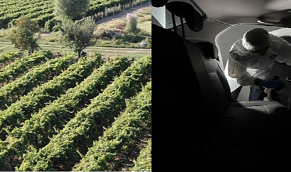 Manisa&#039;da üzüm bağında silahla vurulan çiftçi öldü