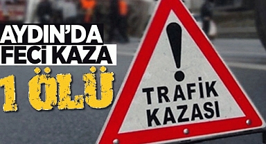 Trafik levhasına çarpan motosikletin sürücüsü öldü