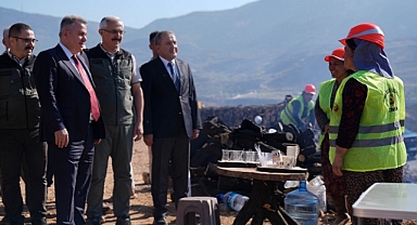 Yamanlar'da yanan ormanlık alan yeniden yeşerecek