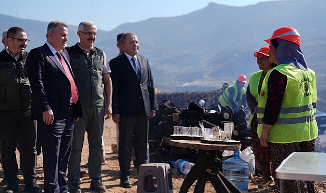 Yamanlar'da yanan ormanlık alan  yeniden yeşerecek