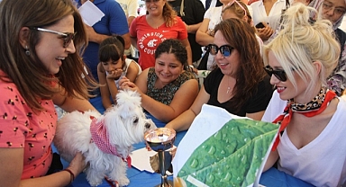 Can dostlar 'Patifest'te yeni yuvalara kavuşacak