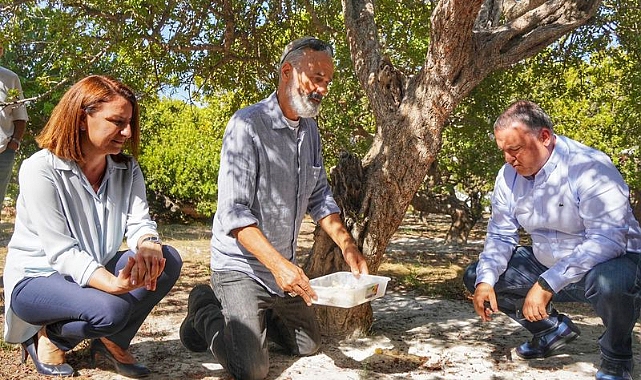 Çeşme’de Hedef 100 Bin Sakız Ağacı