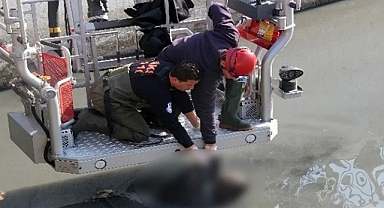 İzmir'de derede erkek cesedi bulundu