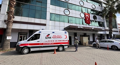 Muğla'da domuzun saldırısına uğrayan çiftçi öldü