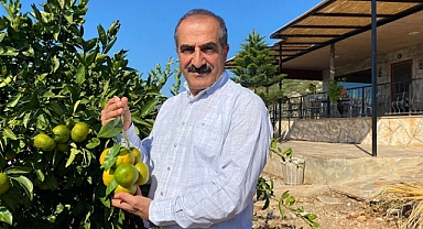 Satsuma mandalinada ihracat hedefi 150 milyon dolar