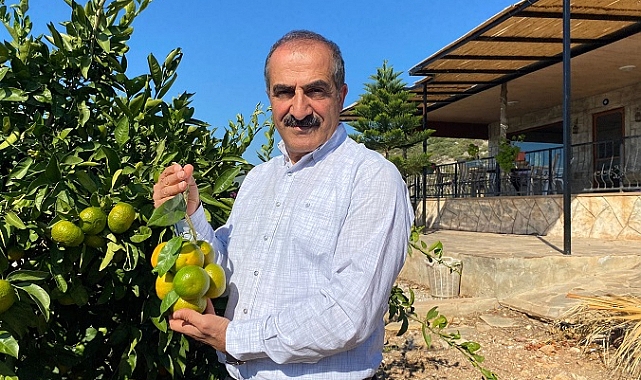 Satsuma mandalinada ihracat hedefi 150 milyon dolar