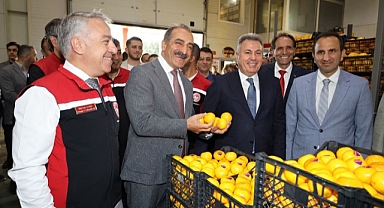 Satsuma yüklü tırlar sezonun ilk ihracatı için yola çıktı