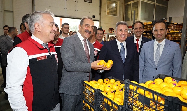 Satsuma yüklü tırlar sezonun ilk ihracatı için yola çıktı