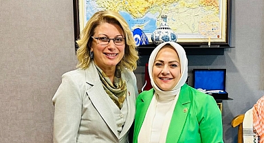 Sema Silkin Ün’e,Kaya’dan istişare ziyareti