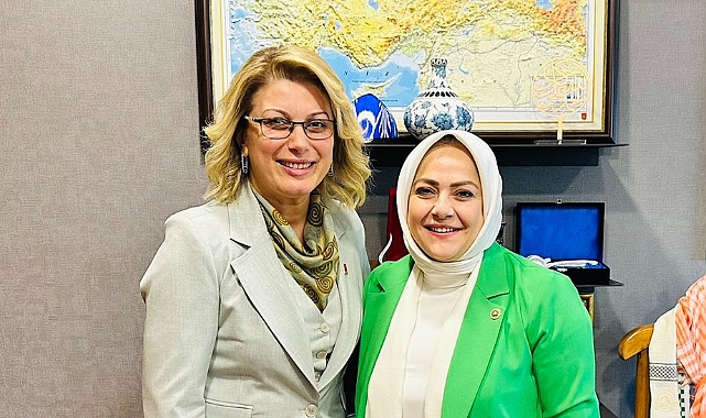 Sema Silkin Ün’e,Kaya’dan istişare ziyareti