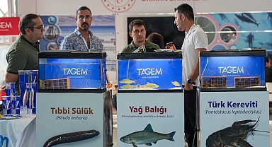 Türkiye ve Norveç Su Ürünleri İşbirliği İzmir'de Masaya Yatırıldı