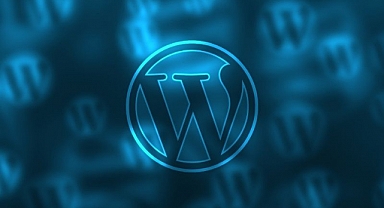 Wordpress Uzmanı: Web Geliştirmenin Profesyonel Yüzü