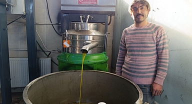 Altın Zeytinyağı Fabrikasında Sıkım İçin Yoğun Mesai