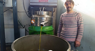 Altın Zeytinyağı Fabrikasında Sıkım İçin Yoğun Mesai
