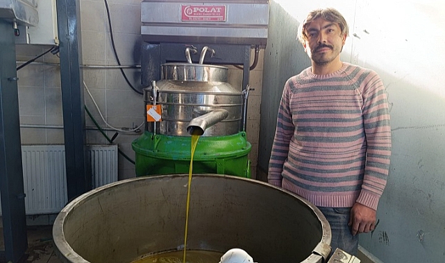 Altın Zeytinyağı Fabrikasında Sıkım İçin Yoğun Mesai