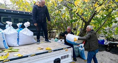 Bornova’da zeytin üreticilerine lojistik destek