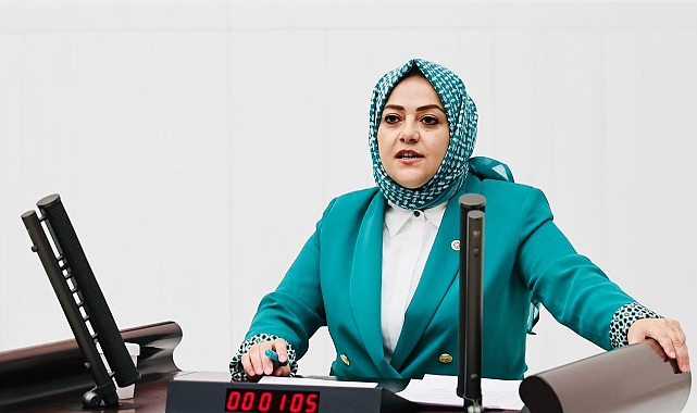‘Emeklinin çığlığına kulak verin’