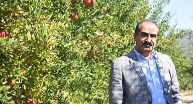 İhracatta nar bereketi
