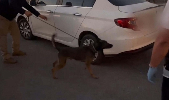 İzmir'de 26,5 kilo esrar ele geçirildi