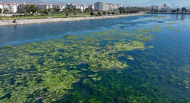 İzmir Körfezi