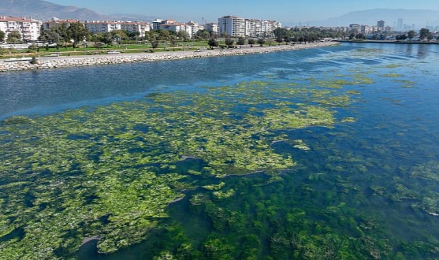 İzmir Körfezi "nefes" alacak