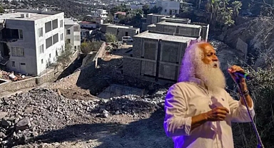 Suavi'nin Bodrum Arsasında Ağaç İncelemesi
