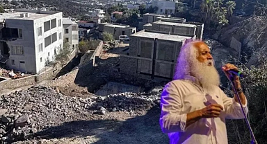 Suavi'nin Bodrum Arsasında Ağaç İncelemesi