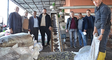 Unutmaz Zeytinyağı Fabrikasında Çarklar Son Sürat Dönüyor