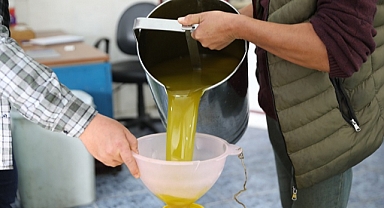 Zeytinyağı Fabrikası’nda ilk sıkım yapıldı