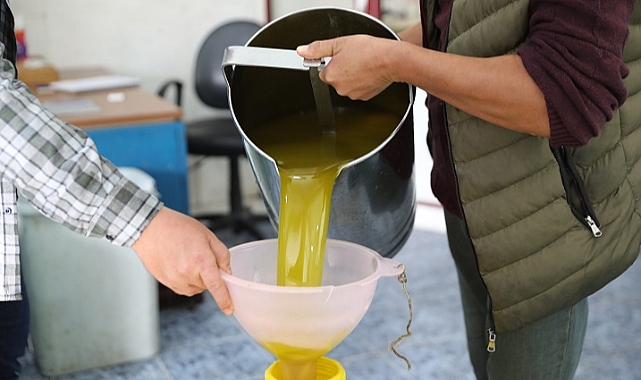 Zeytinyağı Fabrikası’nda ilk sıkım yapıldı
