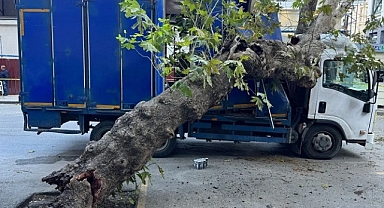 Afyonkarahisar'da ağaca çarpan otomobilin sürücüsü öldü