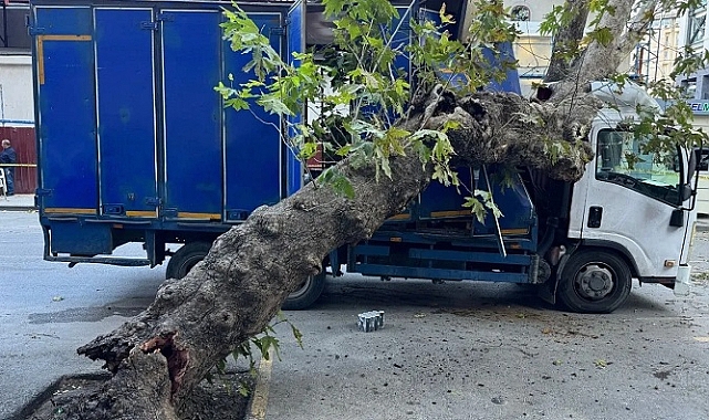 Afyonkarahisar'da ağaca çarpan otomobilin sürücüsü öldü