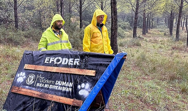 Buca Belediyesi can dostlarını yuvaya kavuşturuyor