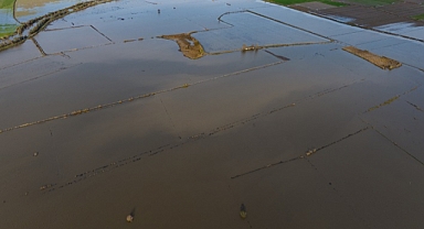 Büyük Menderes Nehri'nde taşkınlar yaşandı