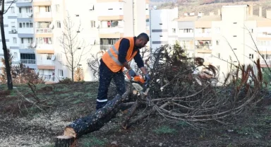 İzmir Çiğli yangın izlerini siliyor!