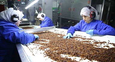 Kuru üzüm ihracatı 525 milyon doları aştı