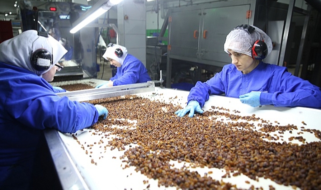 Kuru üzüm ihracatı 525 milyon doları aştı