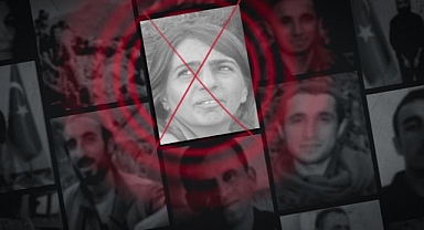 MİT'ten Kamışlı'da nokta operasyon