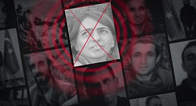 MİT'ten Kamışlı'da nokta operasyon