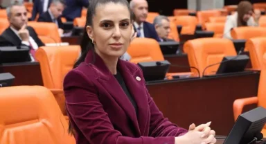 Bodrum Turgutreis'teki Sahil Güvenlik limanı inşaatına tepki TBMM'ye taşındı