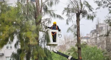 Bornova'da kışa hazırlık başladı