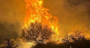 İzmir'de Kaçak Kazı ve Yangın Sanıkları Yargı Önünde