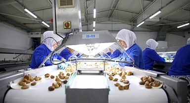 Kuru meyve ihracatı 2 milyar dolara yaklaştı
