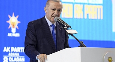 Siz gidin kart oyunu oynayın