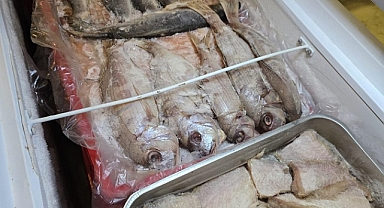 Tonlarca Kaçak ve Bozuk Et ile Balık Ele Geçirildi