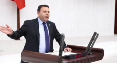 Ayçiçeği ithalatında dışa bağımlılık artıyor