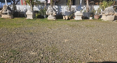 Roma dönemine ait 277 obje ve eser ele geçirildi