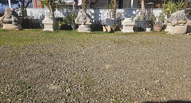Roma dönemine ait  277 obje ve eser ele geçirildi